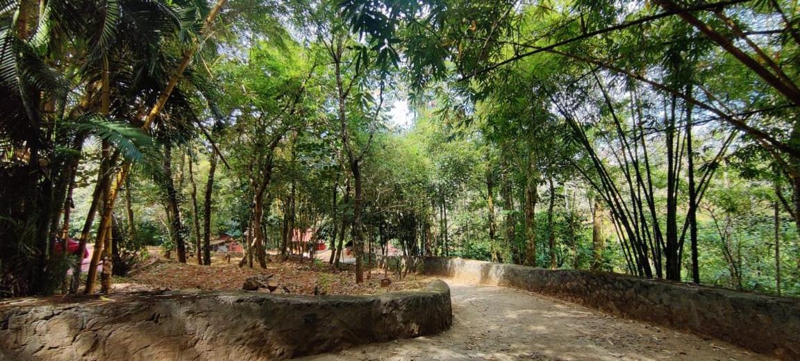 Clay Resort By Bestinn Leisure - Wayanad Padinjarathara Eksteriør billede