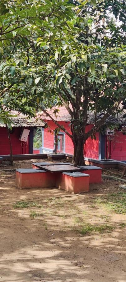 Clay Resort By Bestinn Leisure - Wayanad Padinjarathara Eksteriør billede